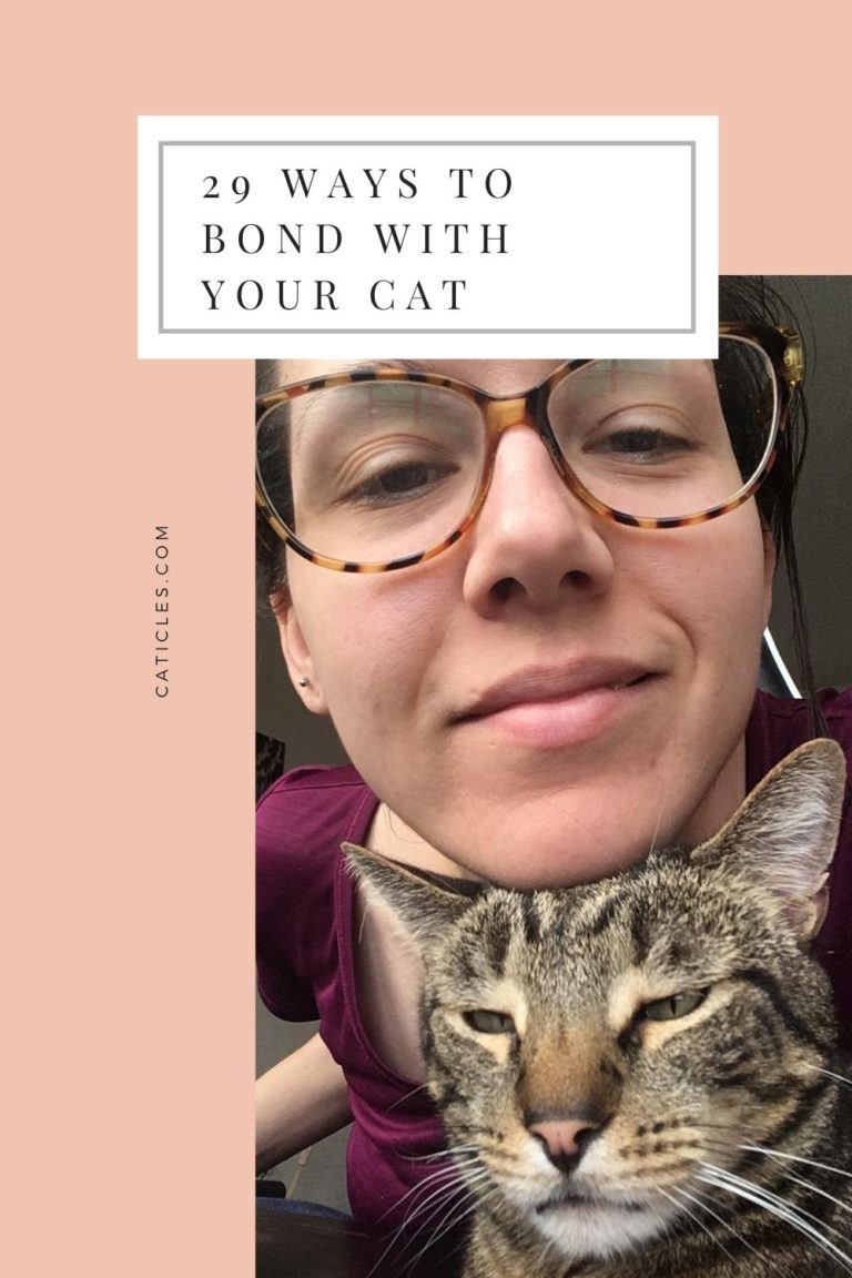 Strong Bond with Cat Guide Jess Caticles