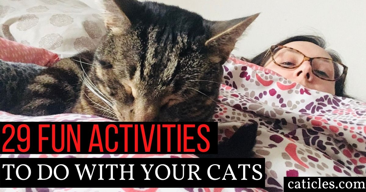 Strong Bond With Cat Guide 29 Ways To Make Your Cat Love You