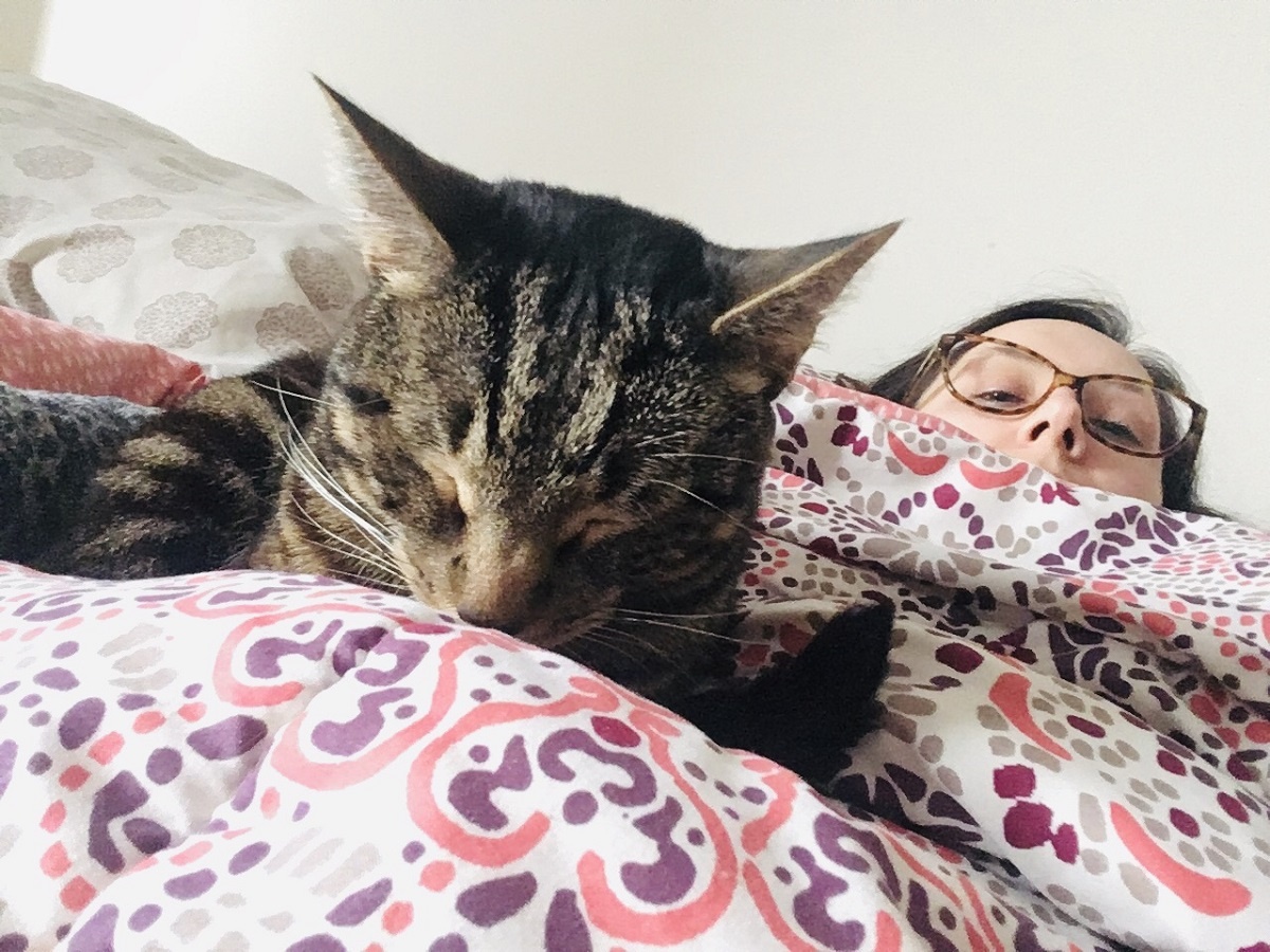 how to treat a cat naptime together