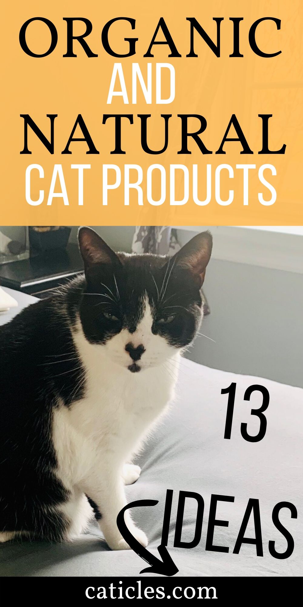 natural cat products