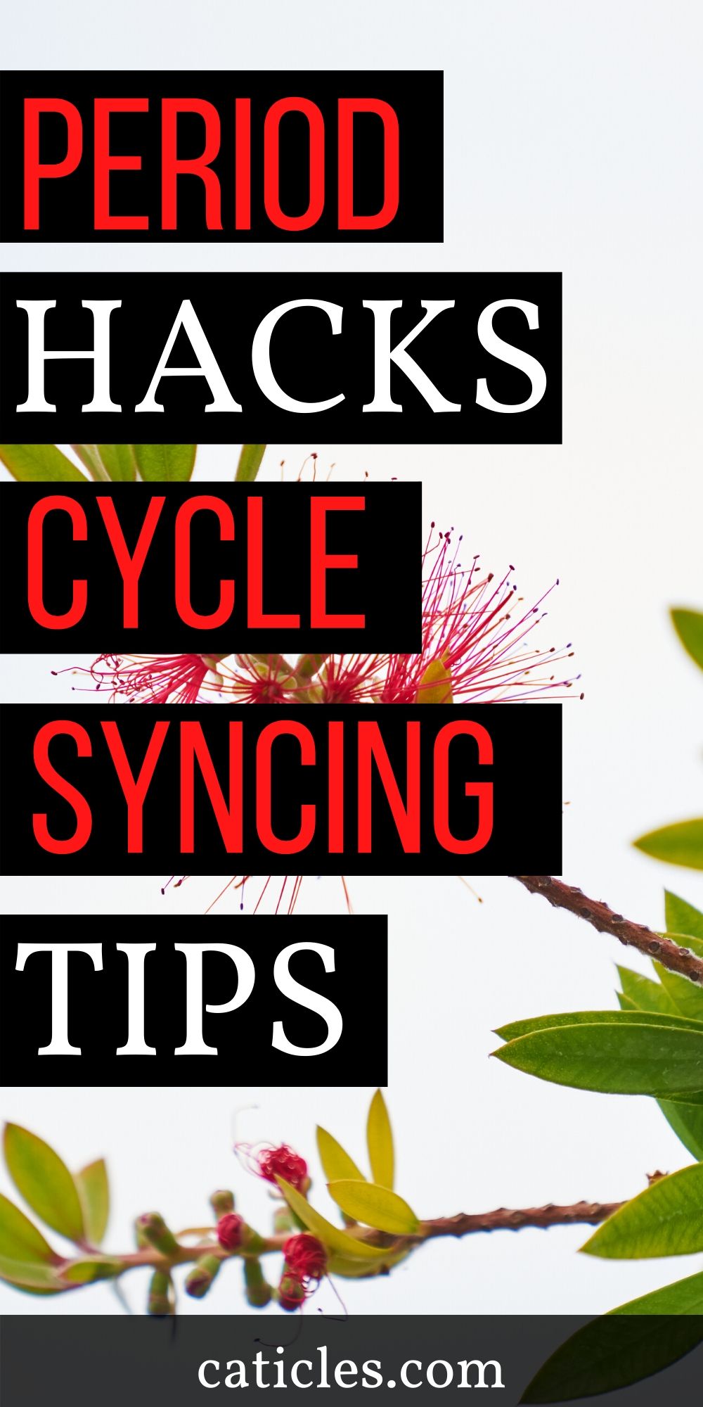 Stop Period Cramps: Pain-Free Infradian Rhythm Hacks Every 