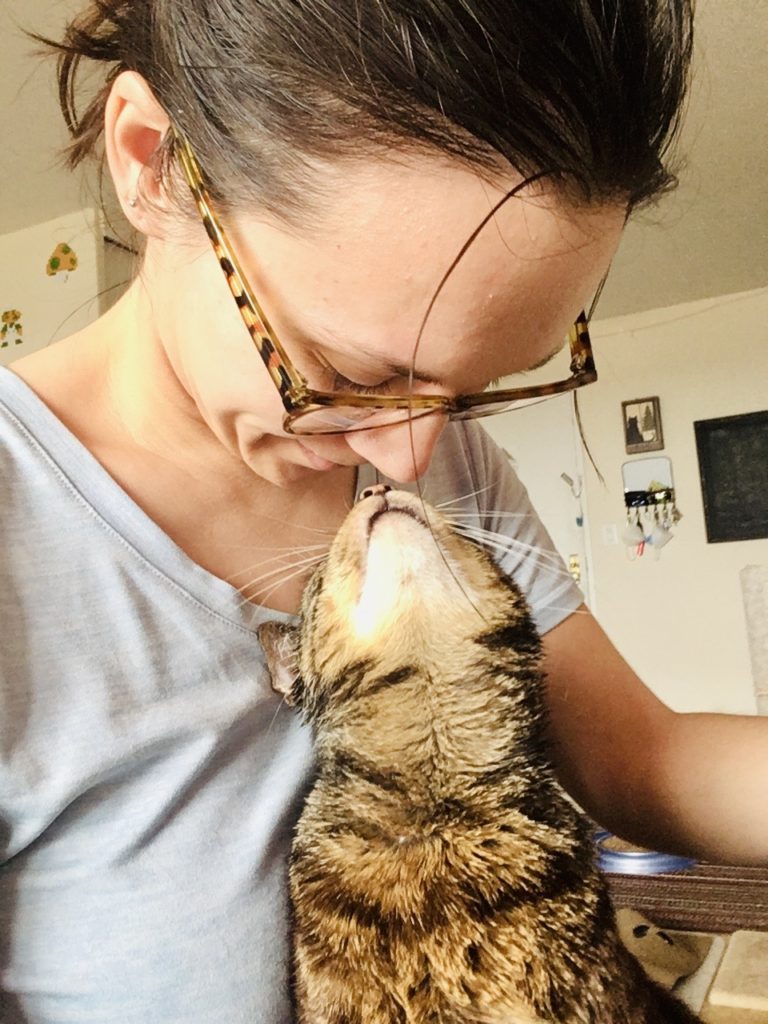 cat kissing human