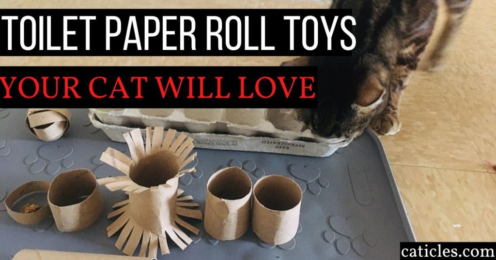 homemade cat toys toilet paper rolls