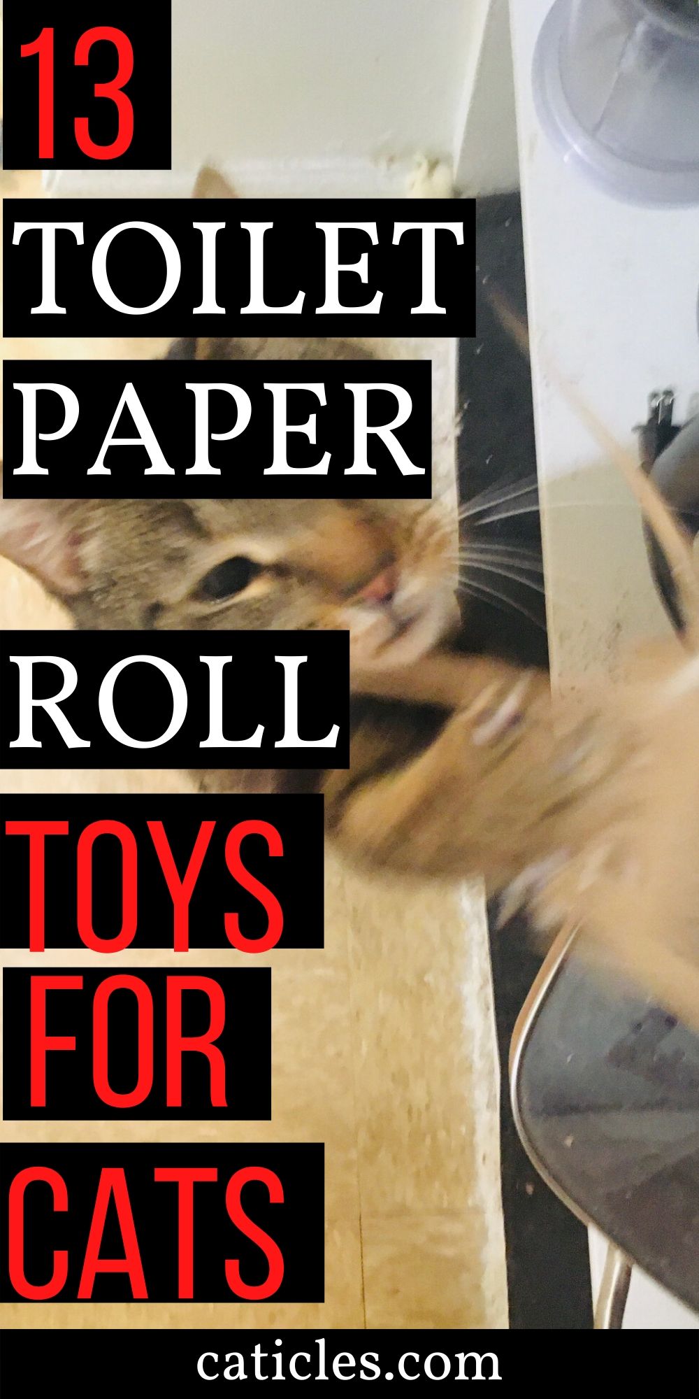 homemade cat toys toilet paper rolls