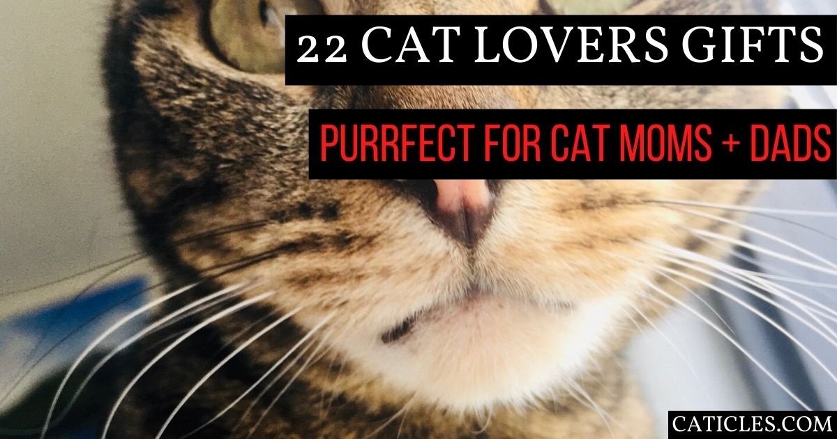 cat lovers gifts for cat moms and dads