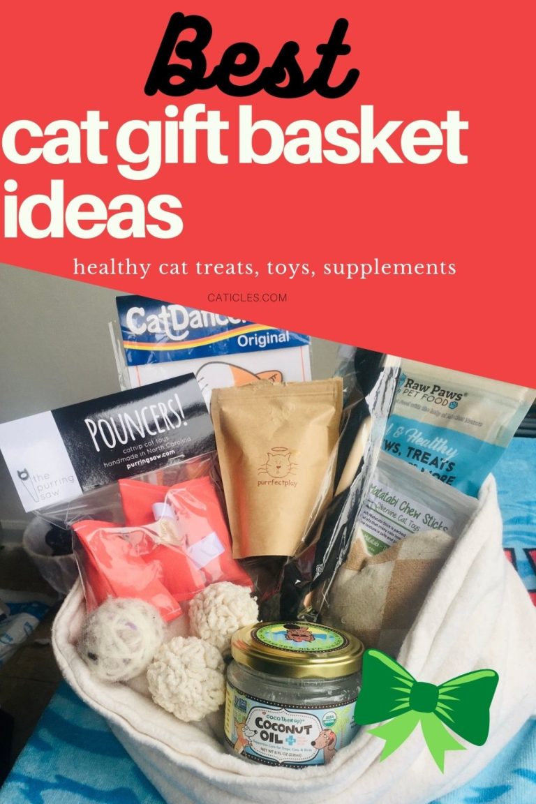 Cat Gift Basket Ideas Cat Treats and Gifts for Cats Jess Caticles