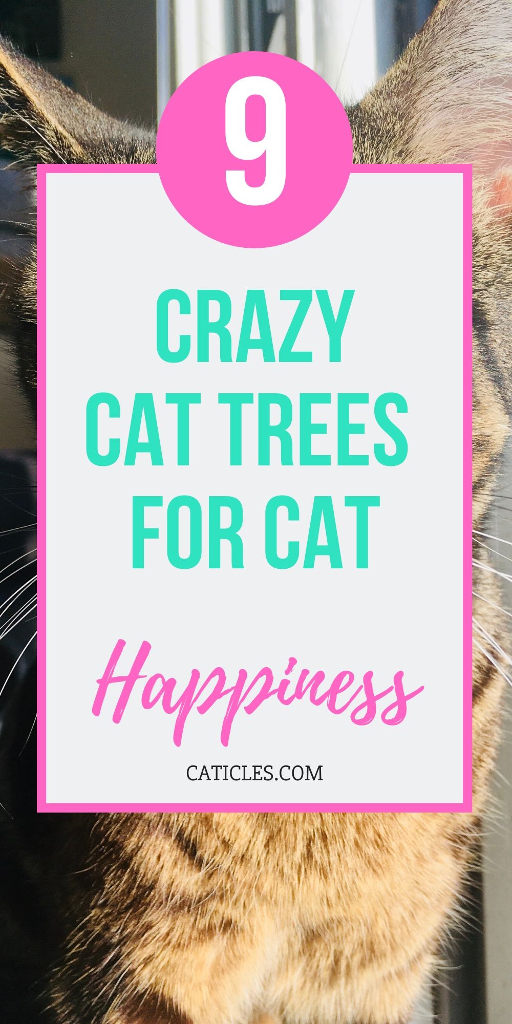 pin image 9 crazy cat trees for cat happiness