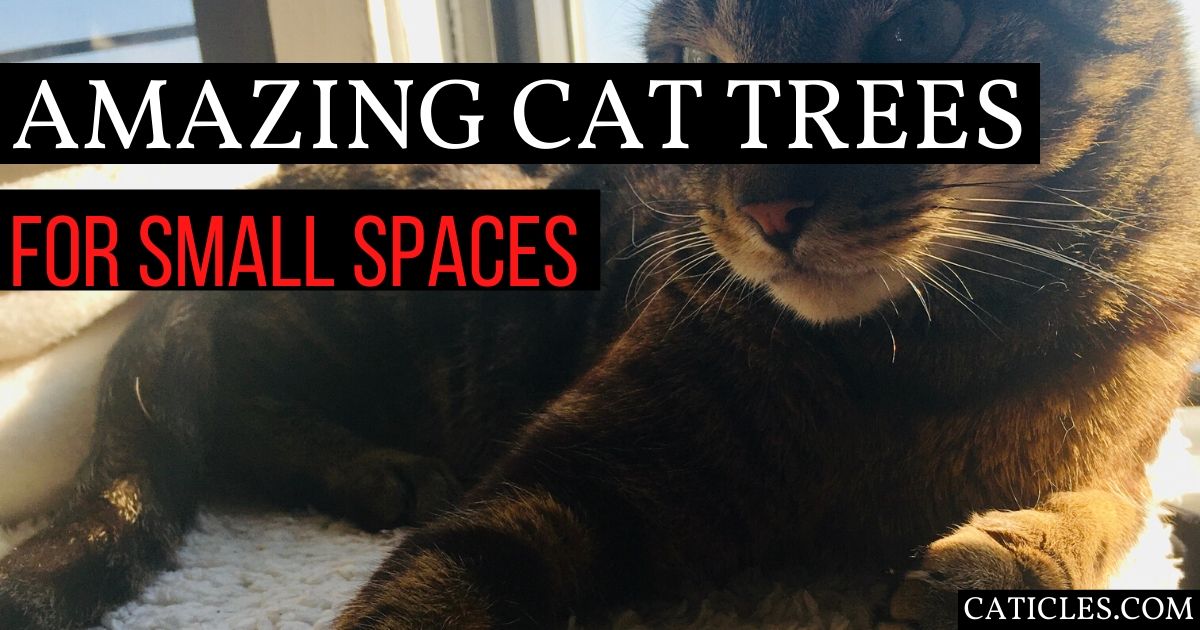 amazing cat trees for small spaces