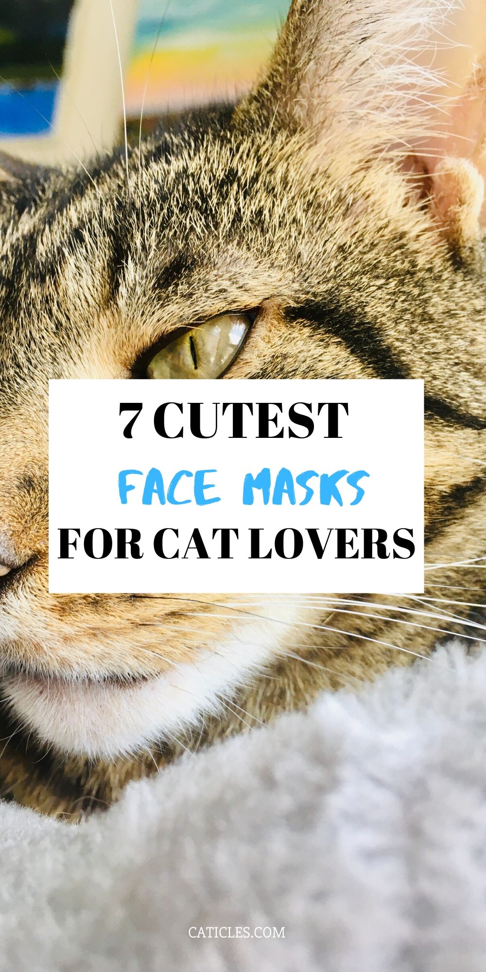pin image 7 cutest face masks for cat lovers