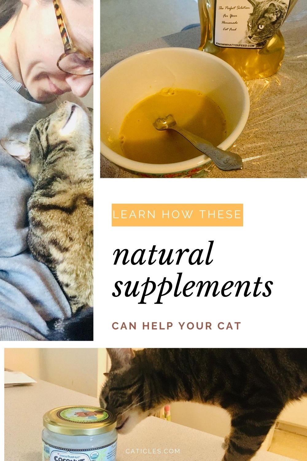 natural supplements for cats