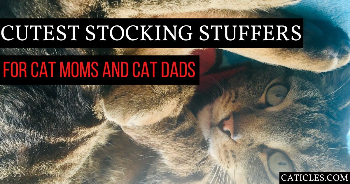 https://caticles.com/wp-content/uploads/2020/06/stocking-stuffers-for-cat-lovers-cat-mom-and-cat-dad-gift-ideas-for-cat-people-caticles.jpg