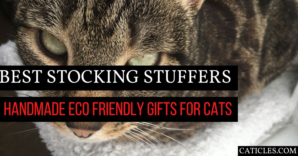 stocking stuffers for cats