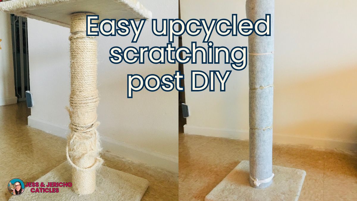Upcycled DIY cat scratching post with carpet [Easy tutorial] jess and jericho caticles