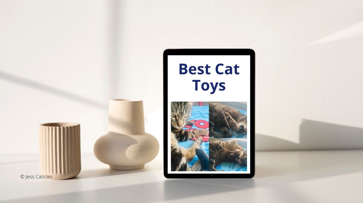 best cat toys