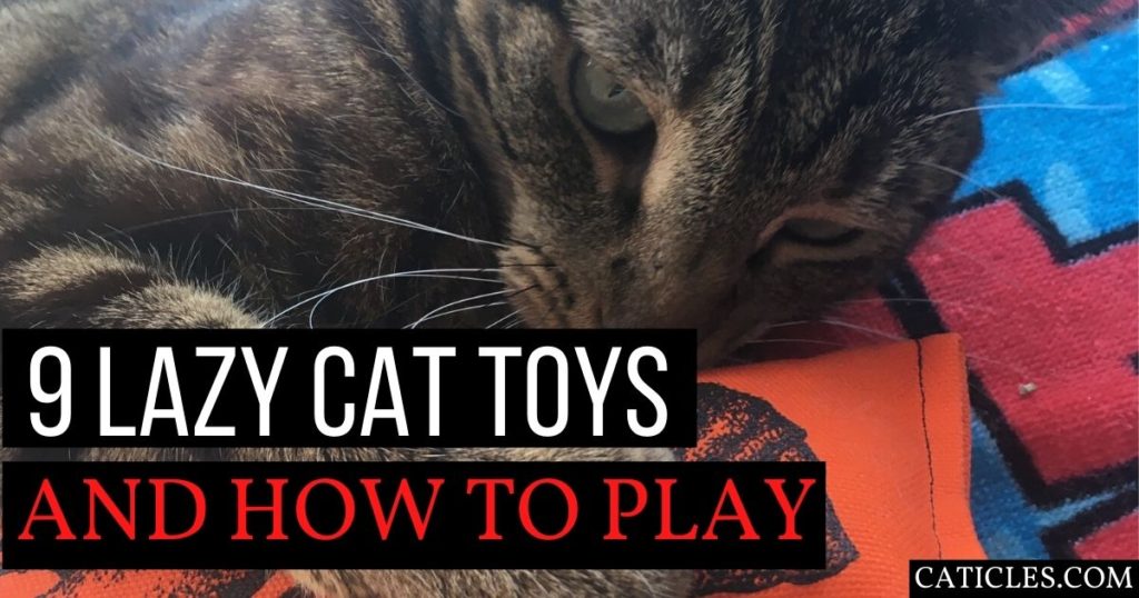 cat toys for lazy cats