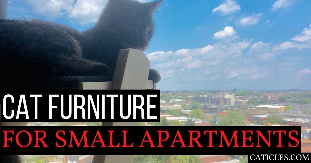 cat furniture for small apartments guide