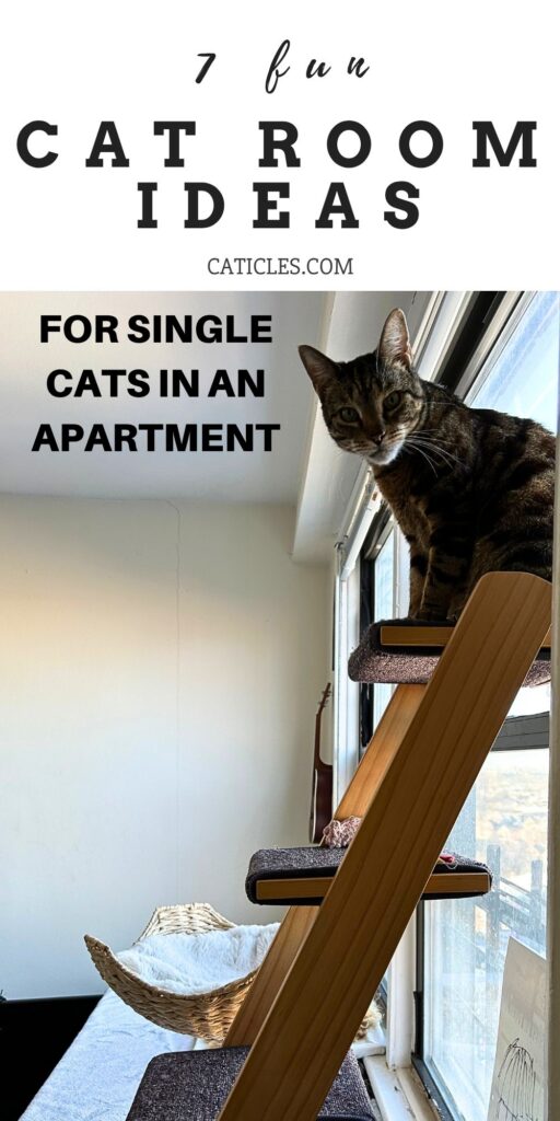 cat room ideas for single cats in an apartment caticles.com