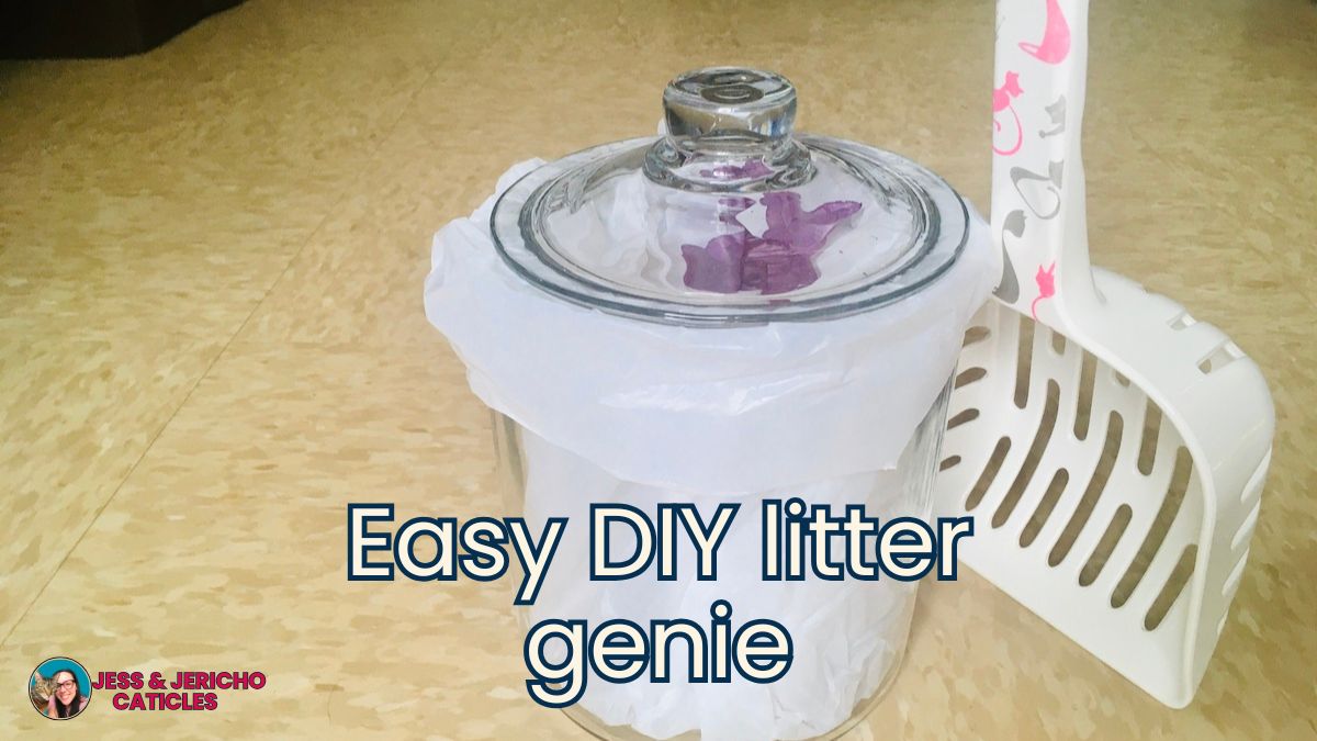 easy diy litter genie for cats jess and jericho caticles