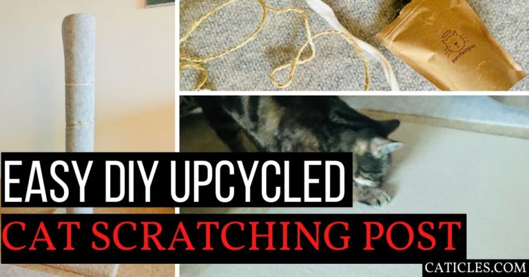 easy diy cat scratching post