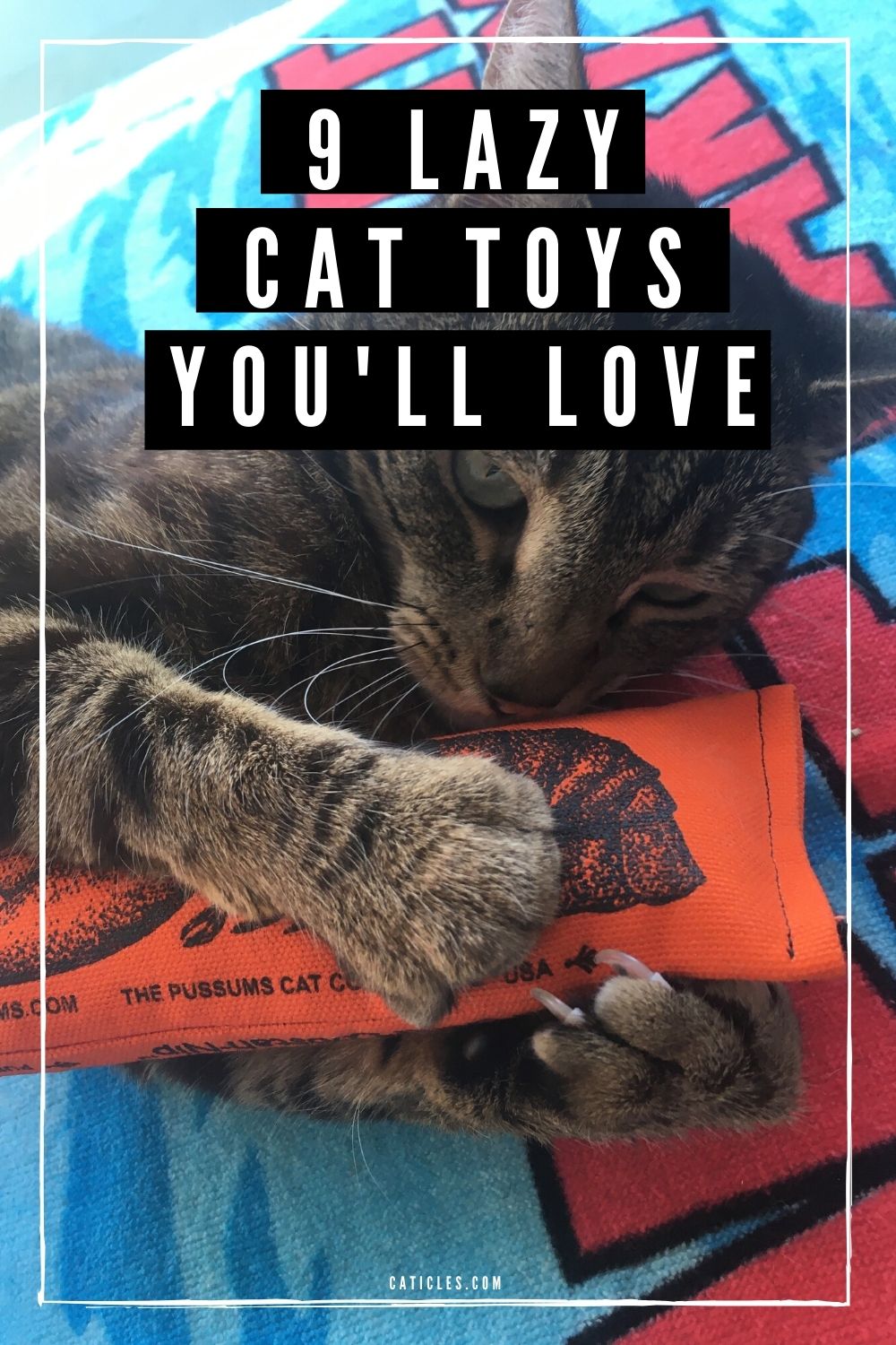 cat toys for lazy cats