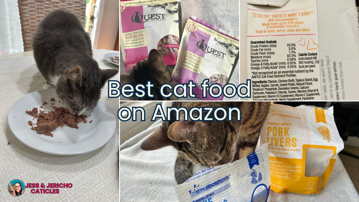best cat food brands on amazon jess and jericho caticles