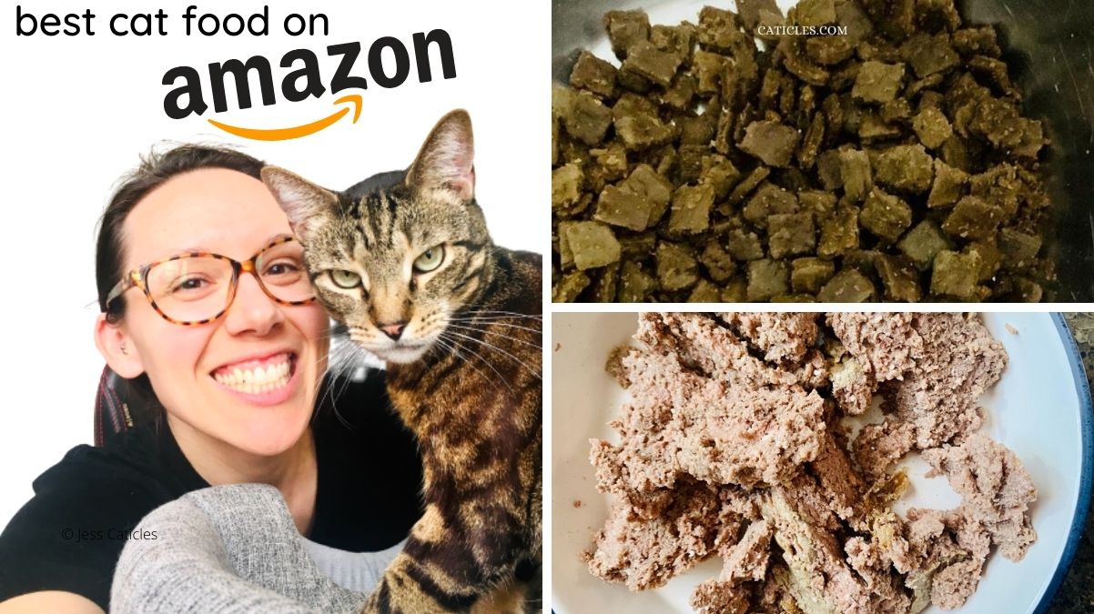 Best Cat Food on Amazon (2023)