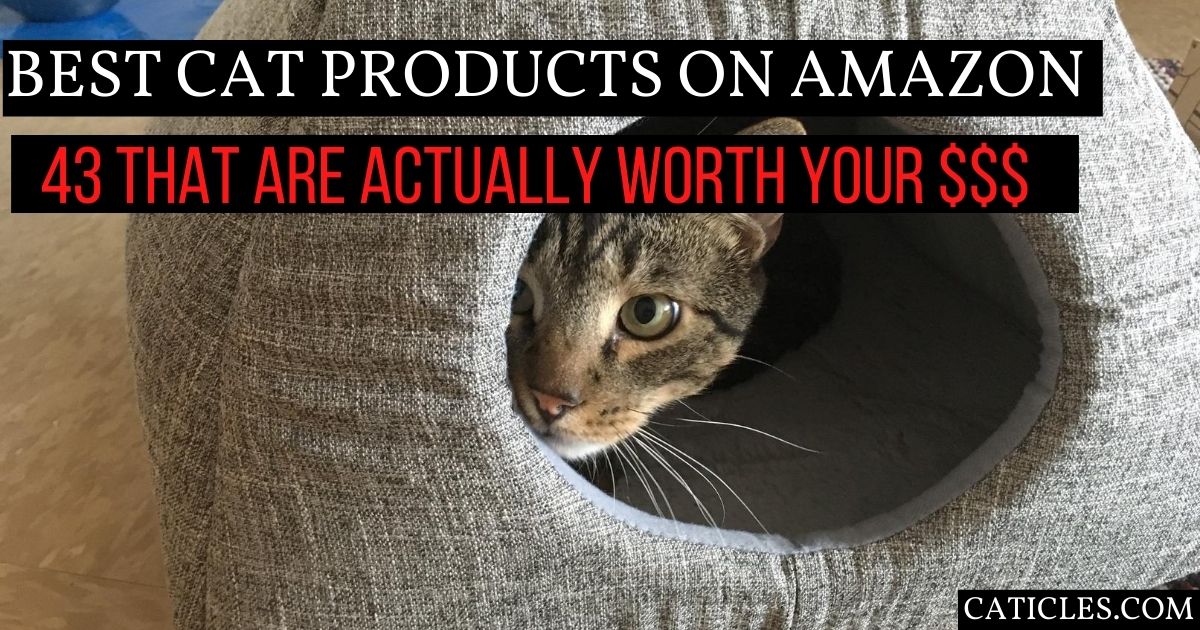amazon cat products