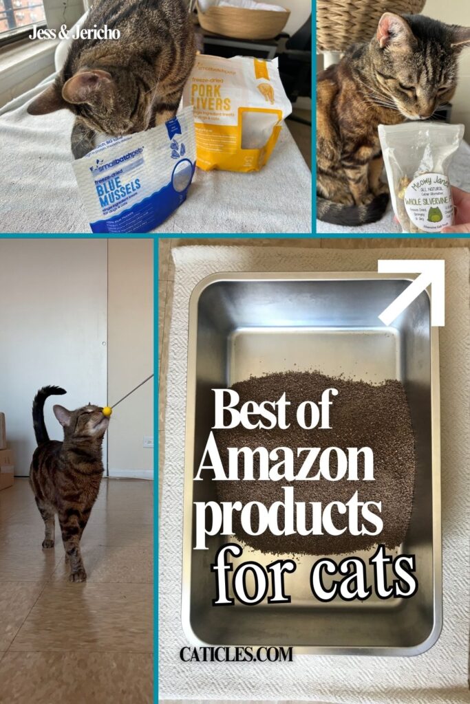 best cat products on amazon jess and jericho caticles.com