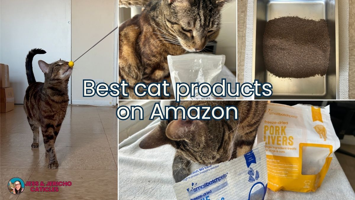 best cat products on amazon jess and jericho caticles