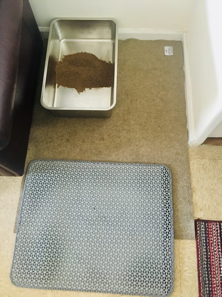 How to Keep Litter Box Area Clean Easily in 5 Mins/Week