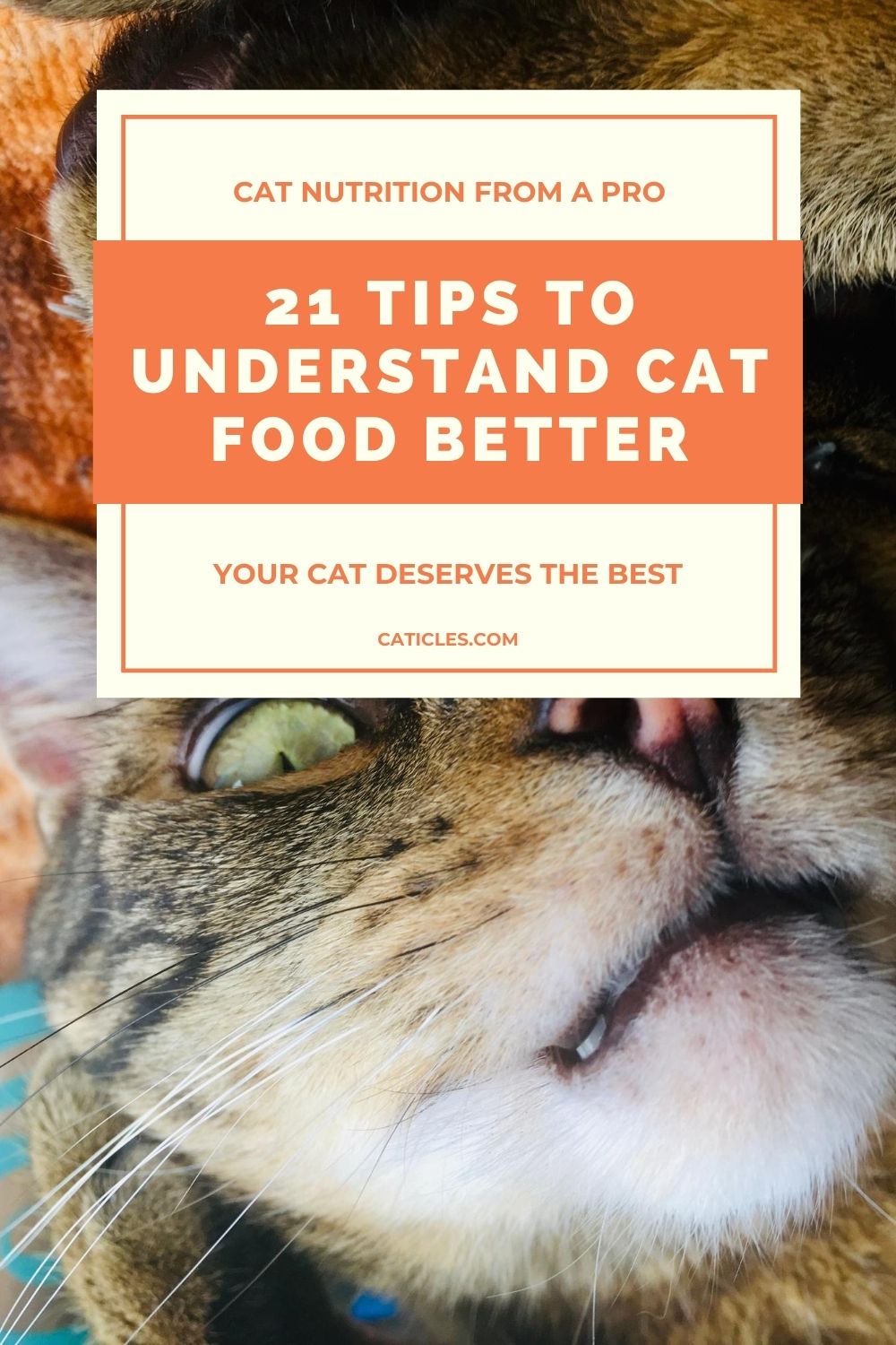 pin image tips to understand cat food better