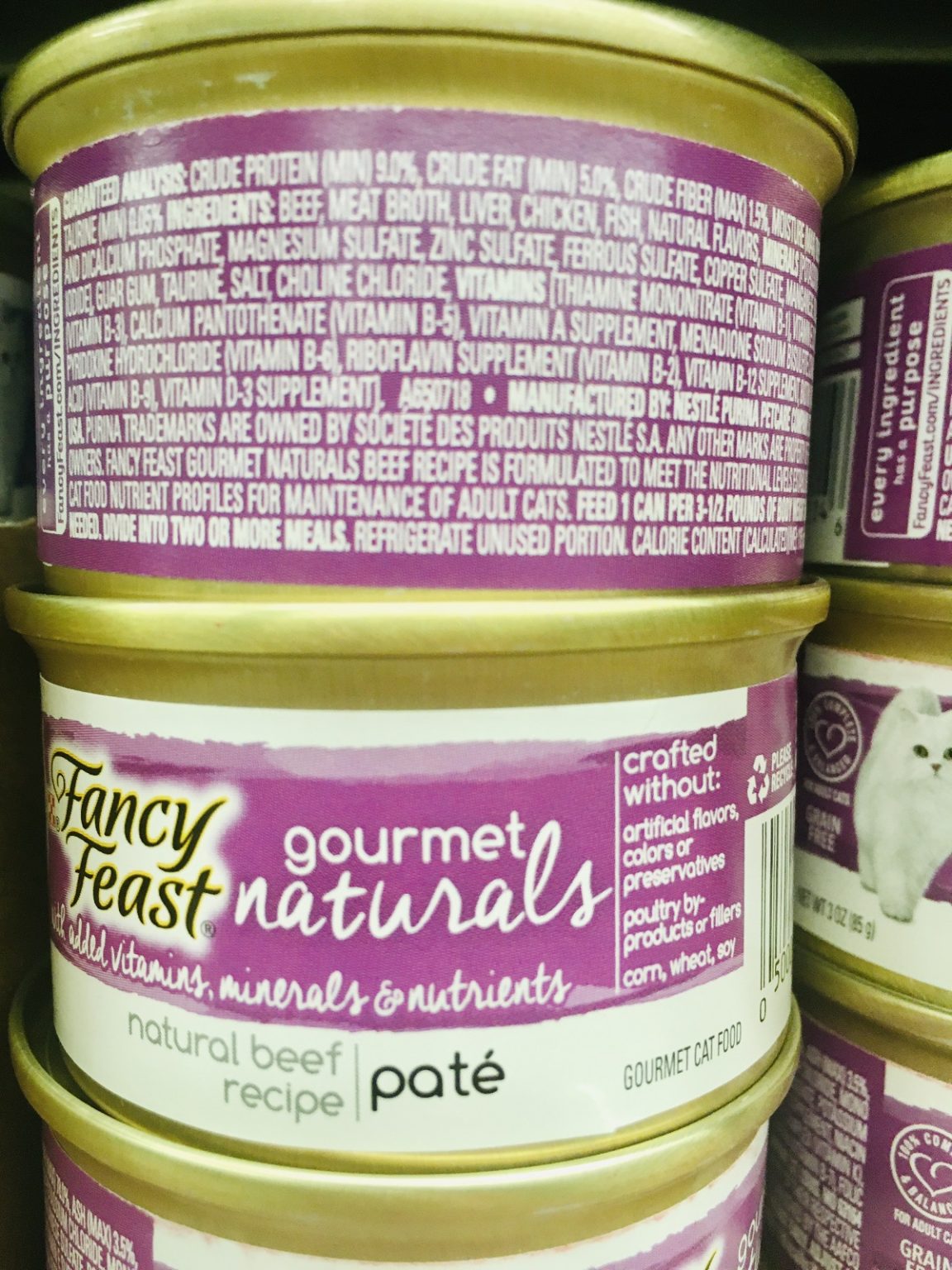 Is Wet Cat Food Bad for Cats? A Closer Look at 27 Different Options