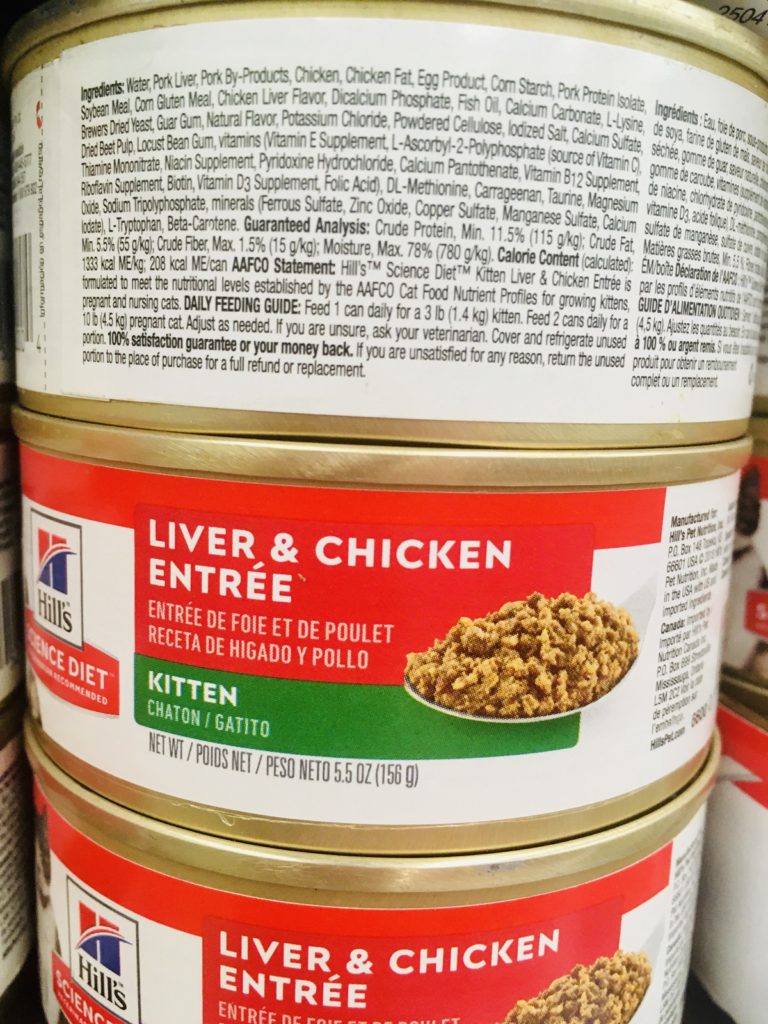 Is Wet Cat Food Bad for Cats? A Closer Look at 27 Different Options