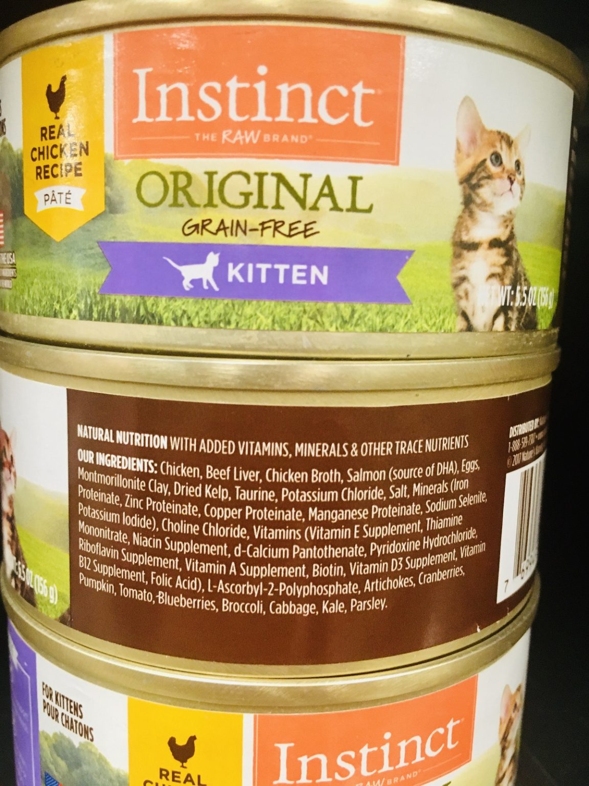 Is Wet Cat Food Bad for Cats? A Closer Look at 27 Different Options