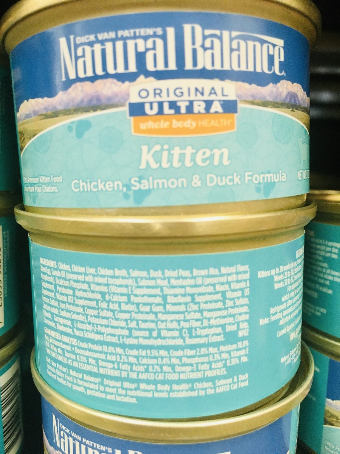 Is Wet Cat Food Bad for Cats? A Closer Look at 27 Different Options