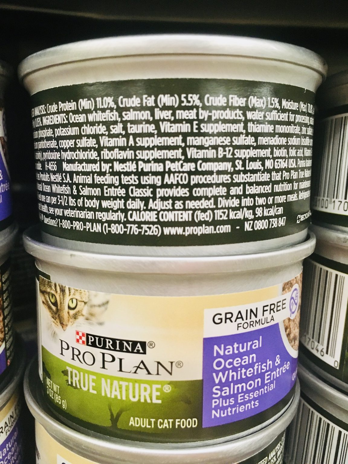 Is Wet Cat Food Bad for Cats? A Closer Look at 27 Different Options