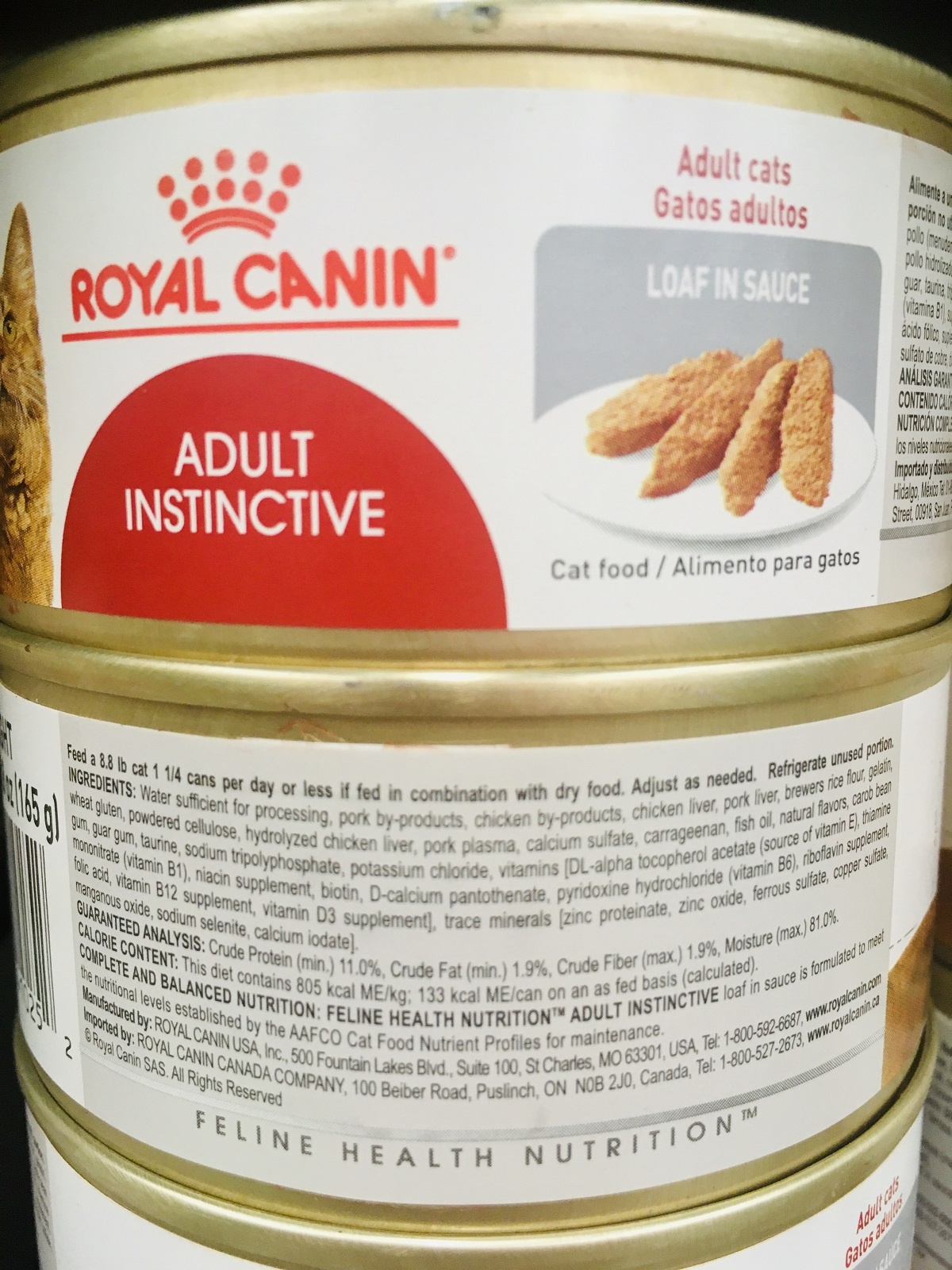 royal canin adult loaf in sauce wet cat food