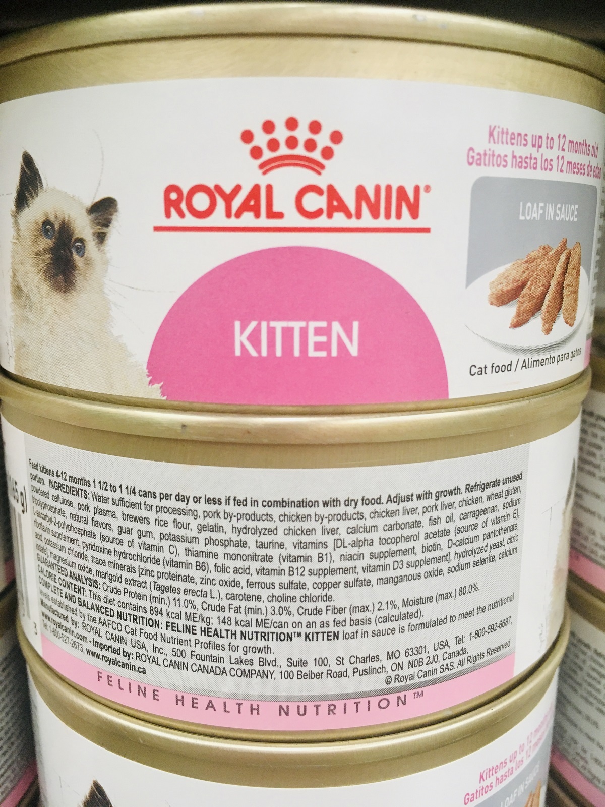 royal canin kitten wet cat food