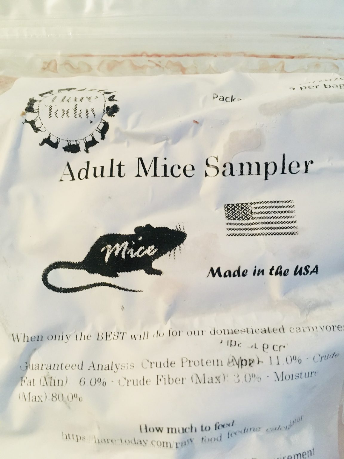 Can cats live on dry food only? 10 facts Jess Caticles