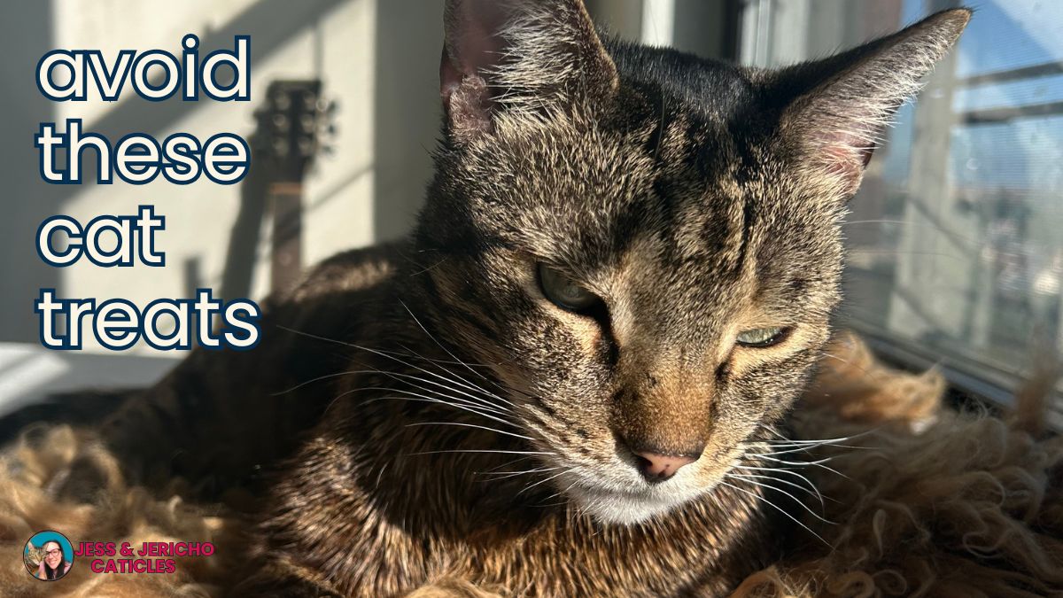 These worst cat treats are toxic to your cat – avoid these brands!