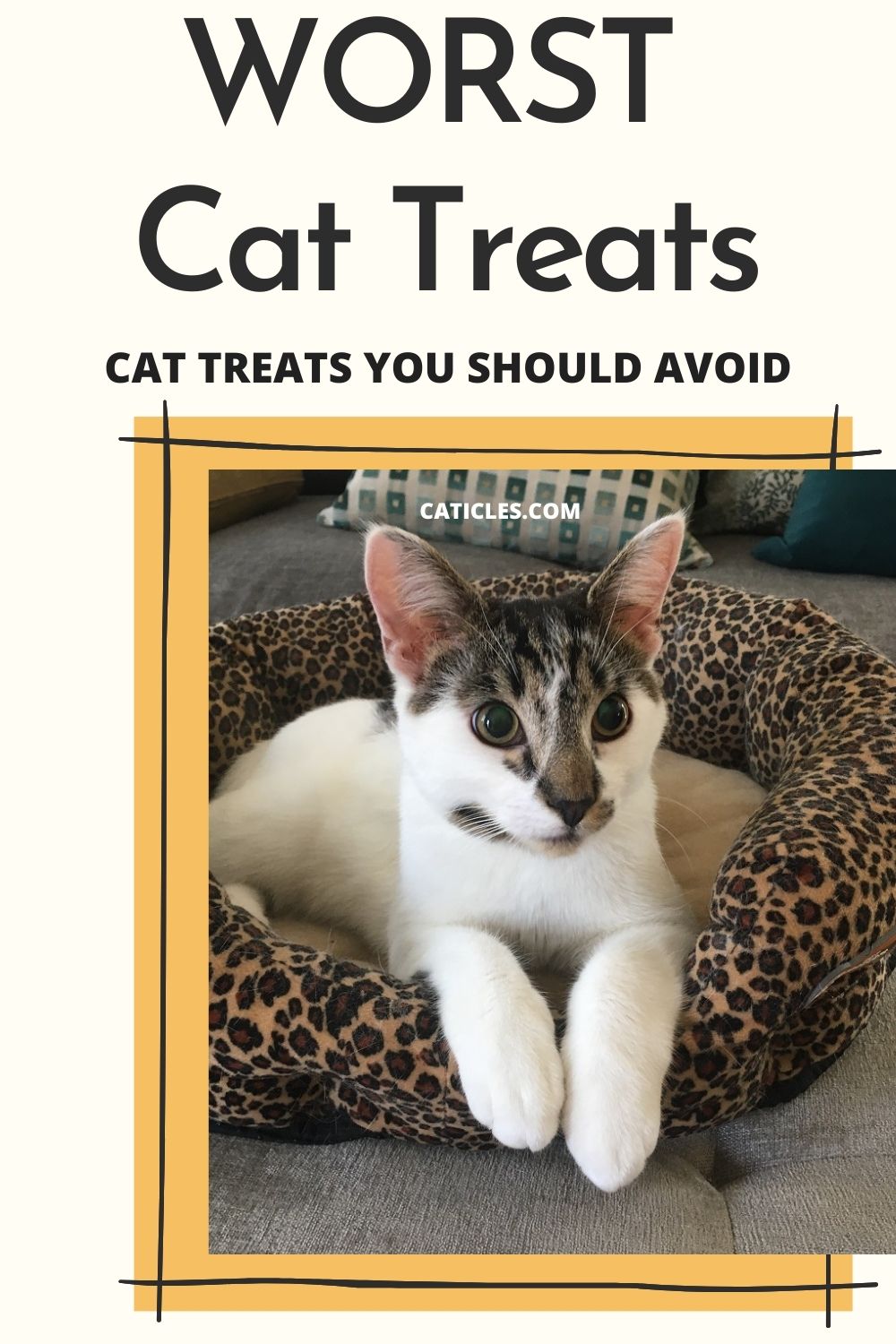 pin image worst cat treats treats you should avoid