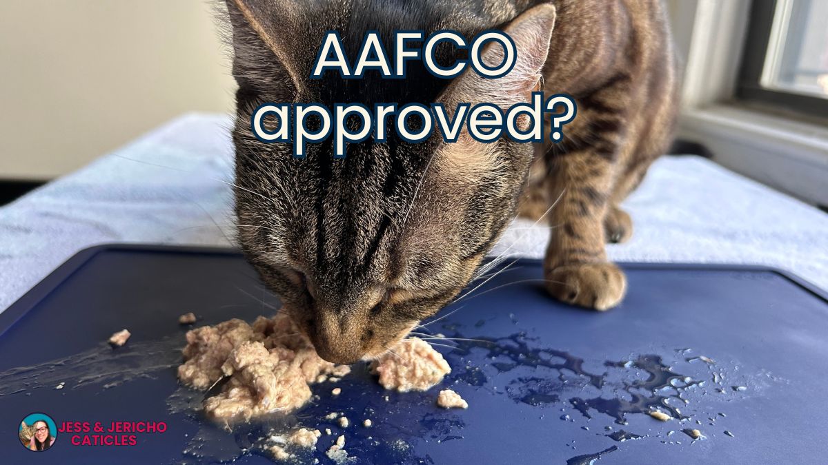 aafco approved cat food brands dont exist jess and jericho caticles.com