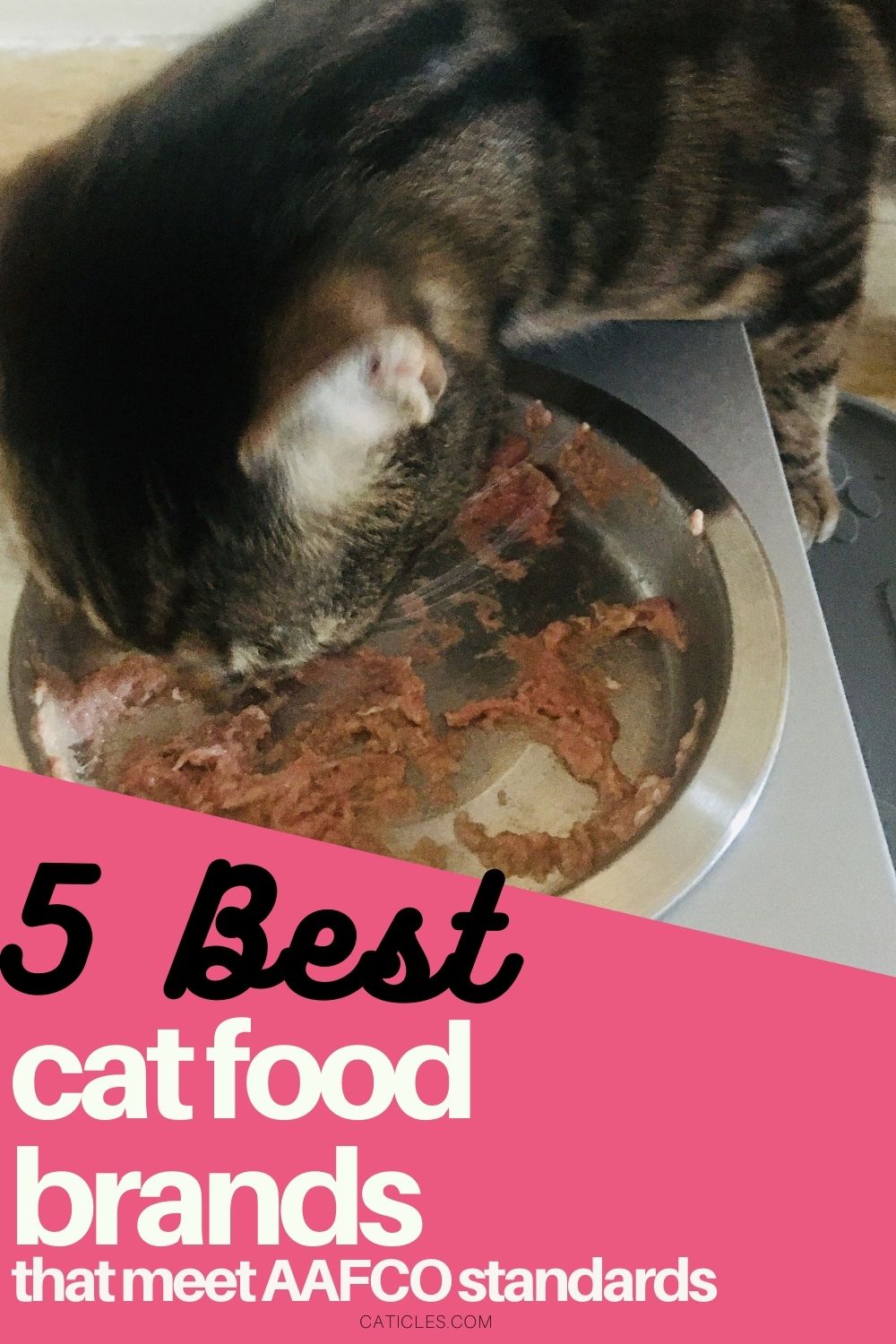 pin image best cat food brands that meet aafco standards