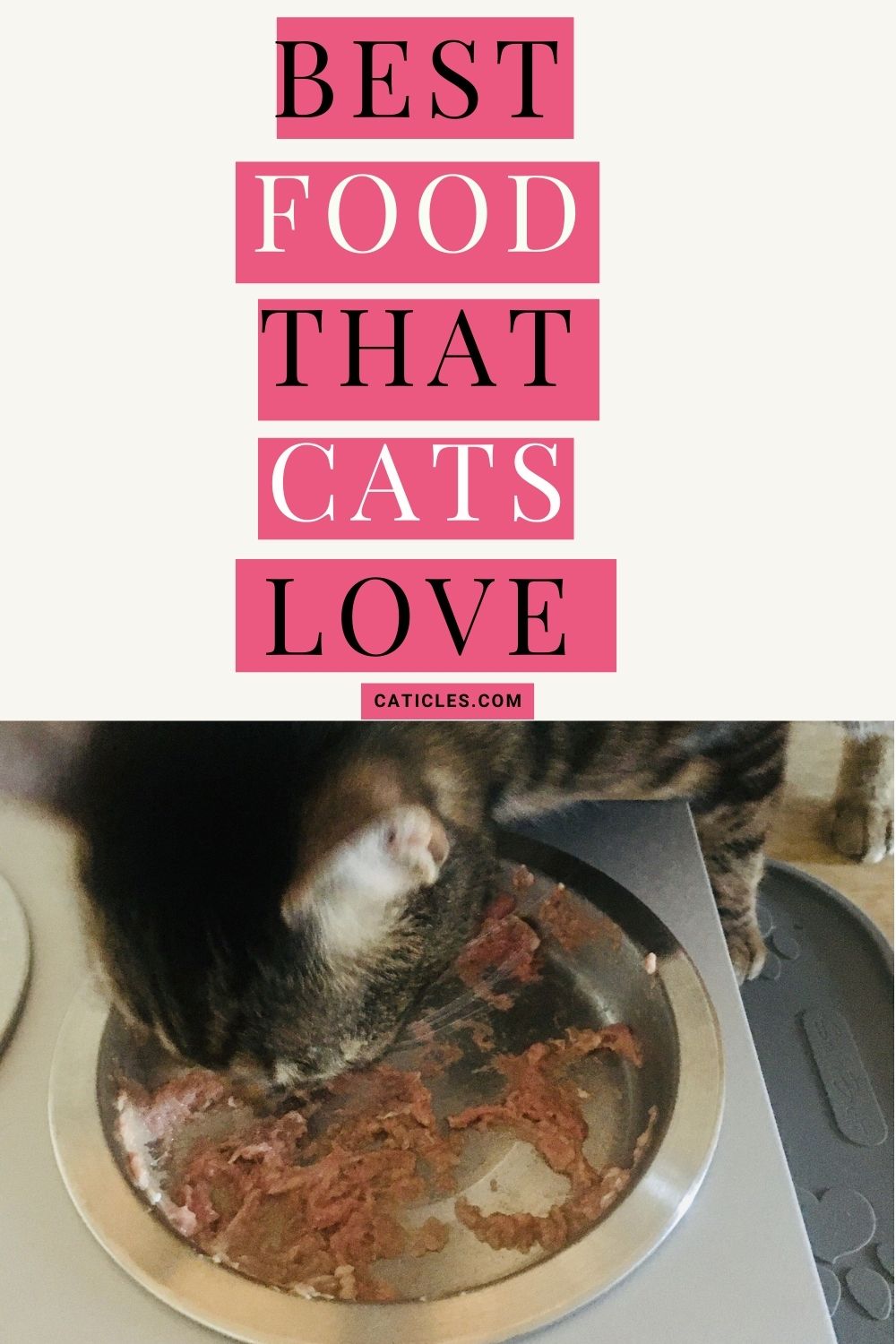 pin image best food that cats love