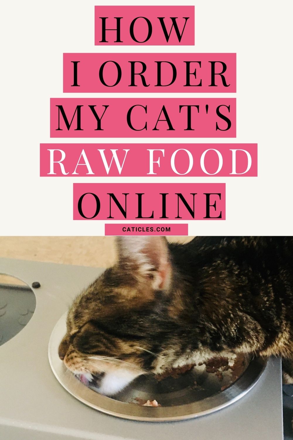 Best Raw Cat Food Delivery Jess Caticles