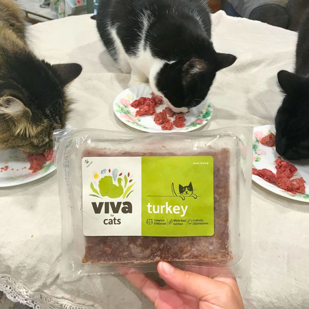 Shop Frozen Cat Food – Raw Rations