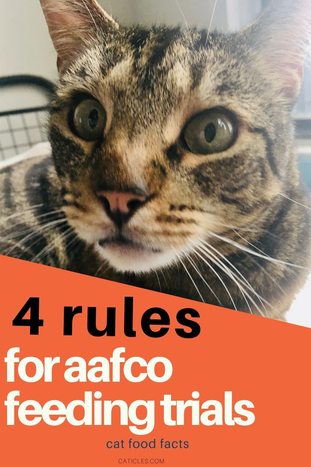 aafco feeding trials protocol cat food pin image