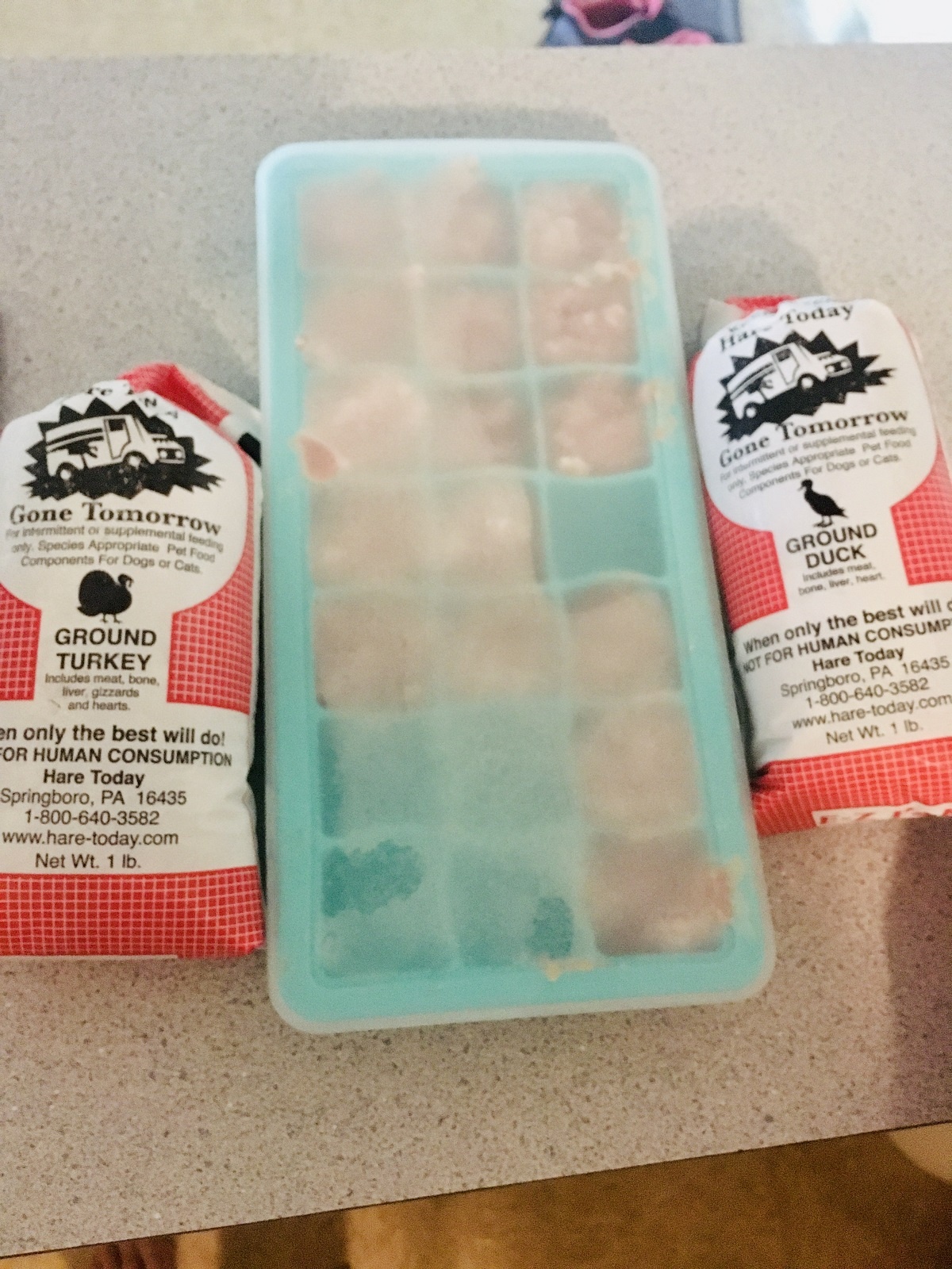 raw cat food chubs in ice cube trays