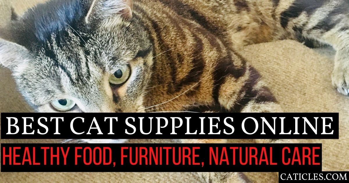 cat supplies online