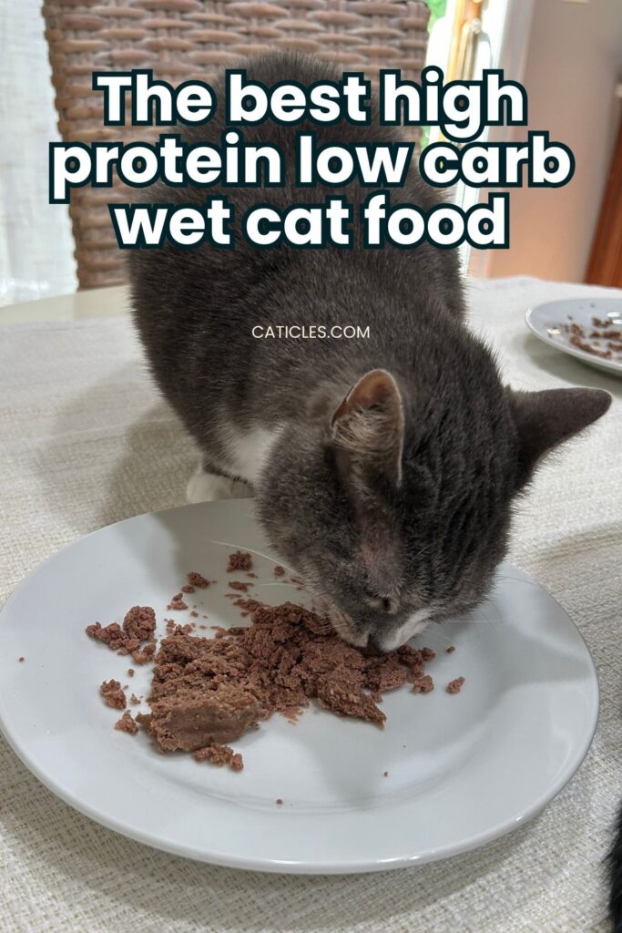 best high protein low carb wet cat food jess and jericho caticles.com